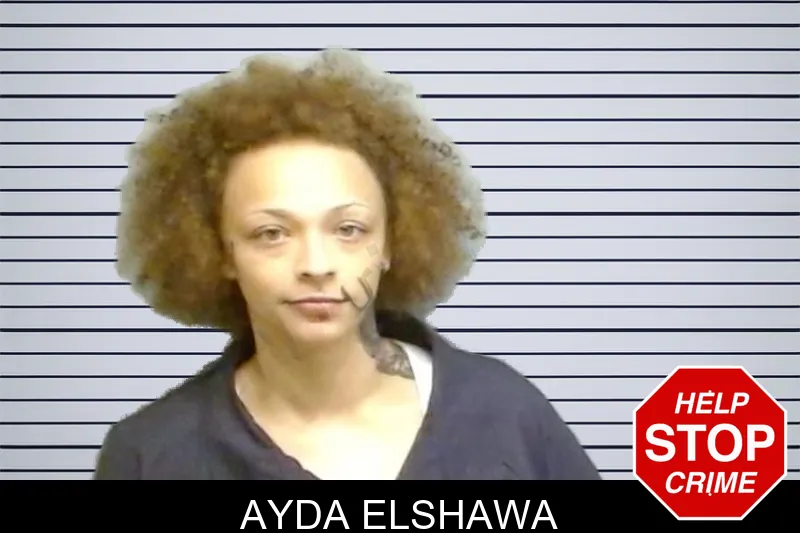 Ayda Elshawa mugshot