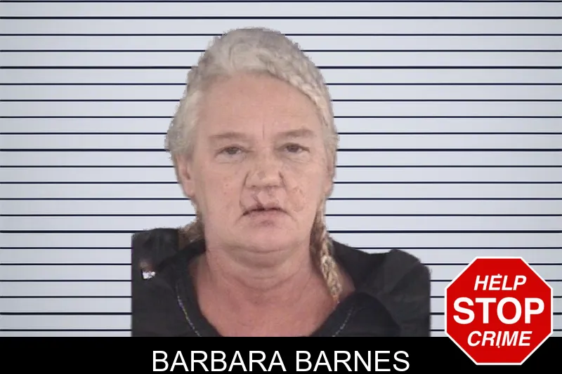 Barbara Barnes mugshot