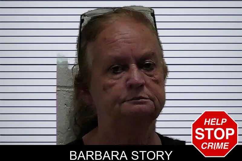 Barbara Story mugshot – Pierce County , Georgia Barbara Story mugshot