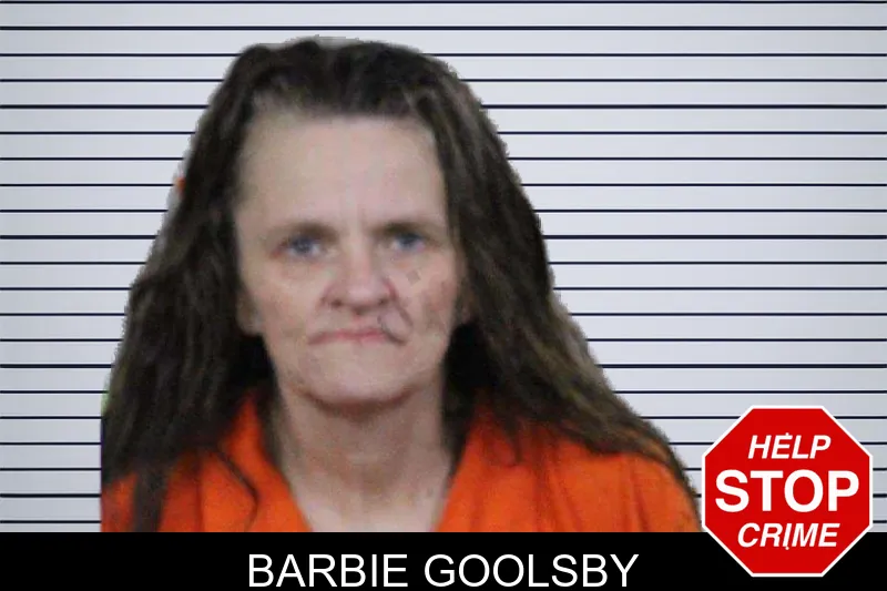 Barbie Goolsby mugshot – Lamar County , Georgia Barbie Goolsby mugshot