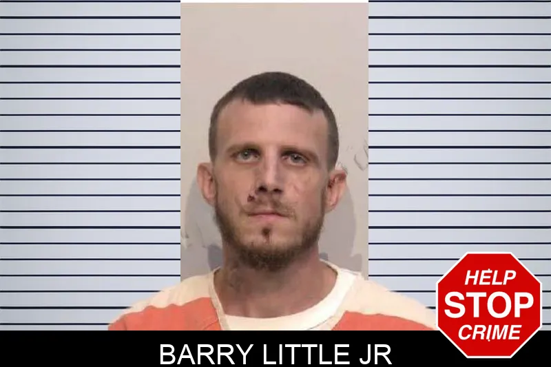 Barry Little Jr mugshot – Bartow County , Georgia Barry Little Jr mugshot