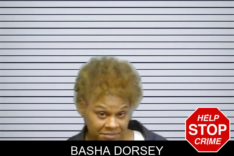 Basha Dorsey mugshot
