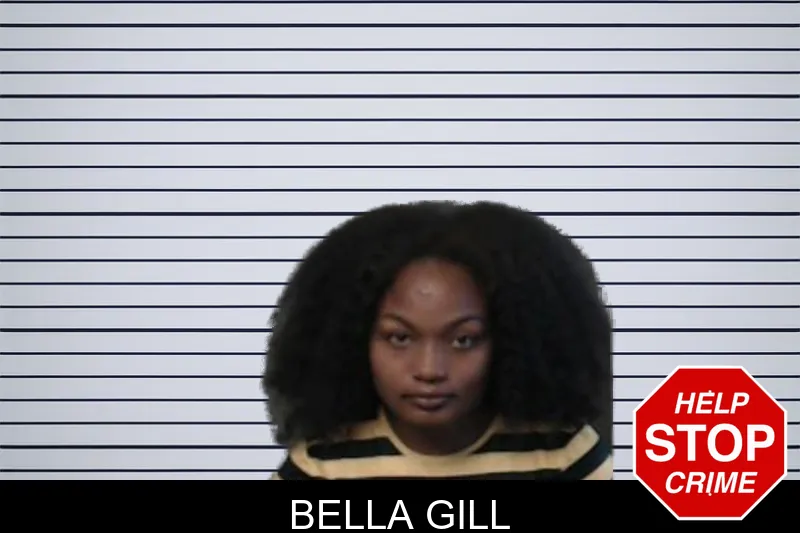 Bella Gill mugshot