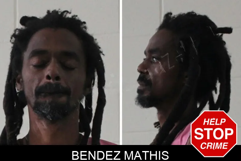Bendez Mathis mugshot – Houston County , Georgia Bendez Mathis mugshot