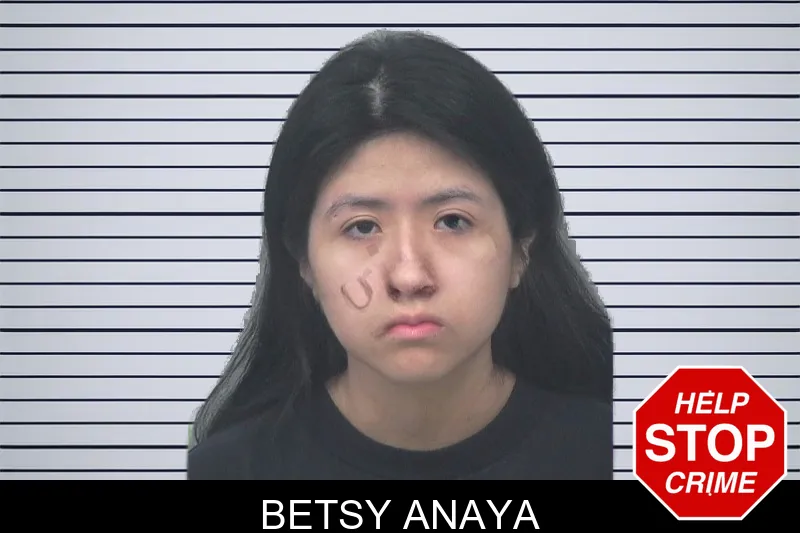 Betsy Anaya mugshot – Gwinnett County , Georgia Betsy Anaya mugshot