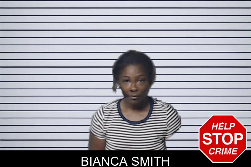 Bianca Smith mugshot – DeKalb County , Georgia Bianca Smith mugshot