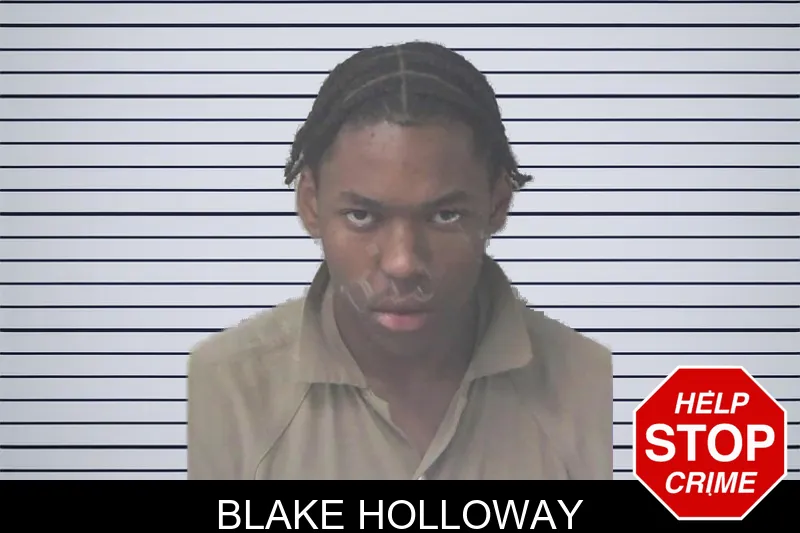 Blake Holloway mugshot