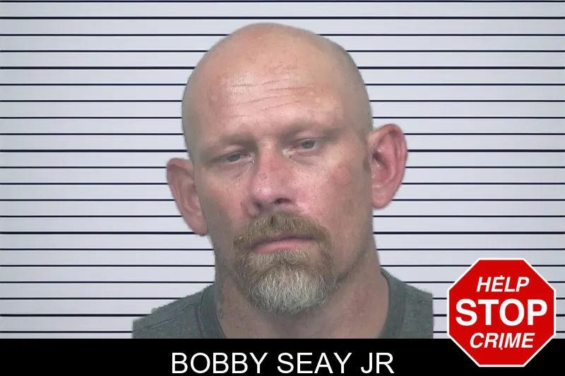 Bobby Seay Jr mugshot