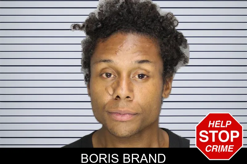 Boris Brand mugshot – Cobb County , Georgia Boris Brand mugshot