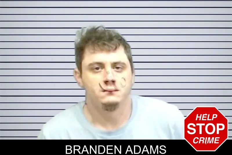 Branden Adams mugshot – Fulton County , Georgia Branden Adams mugshot