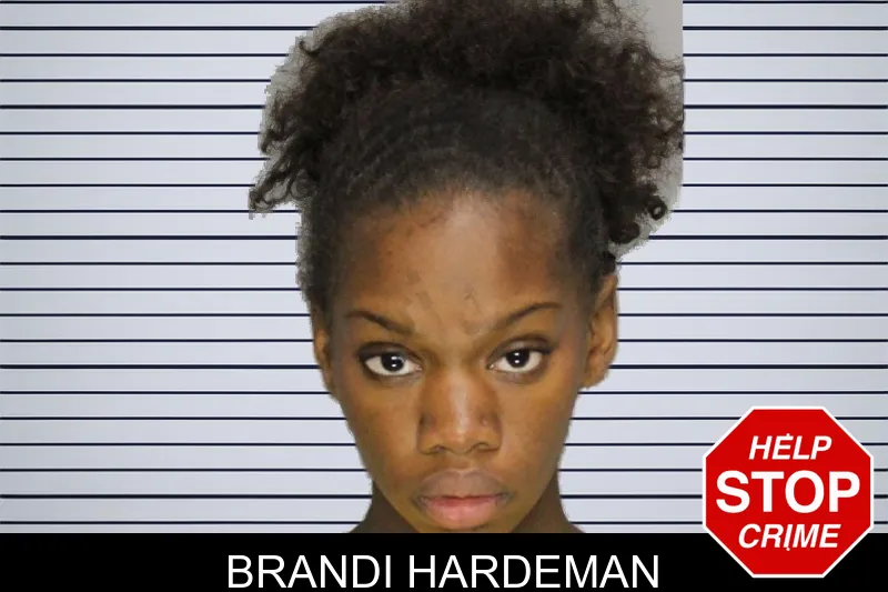 Brandi Hardeman mugshot – Cobb County , Georgia Brandi Hardeman mugshot