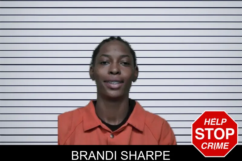 Brandi Sharpe mugshot – Ben Hill County , Georgia Brandi Sharpe mugshot