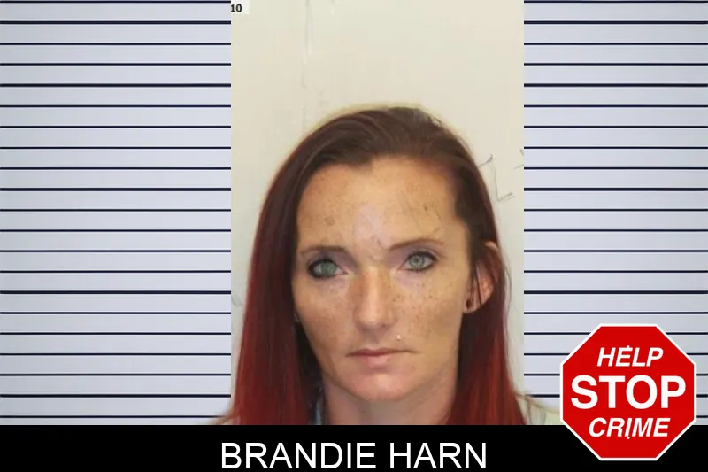 Brandie Harn mugshot – Chatham County , Georgia Brandie Harn mugshot