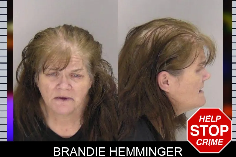 Brandie Hemminger mugshot