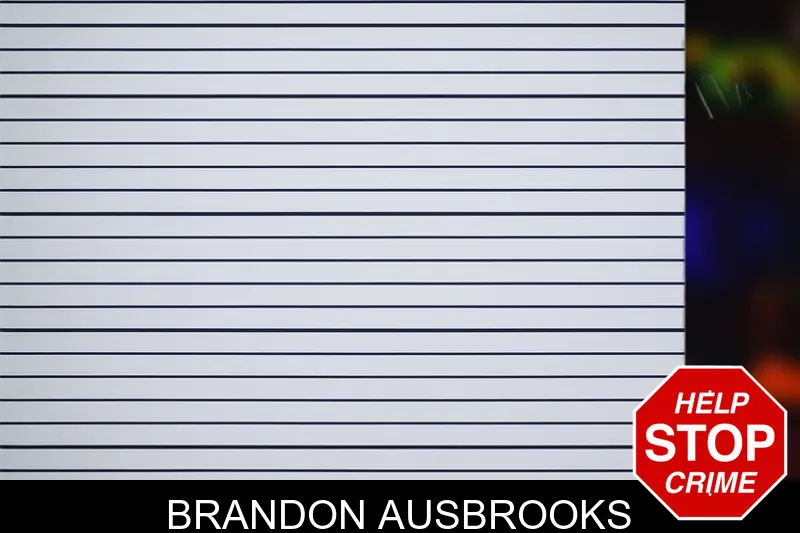 Brandon Ausbrooks mugshot – Henry County , Georgia Brandon Ausbrooks mugshot