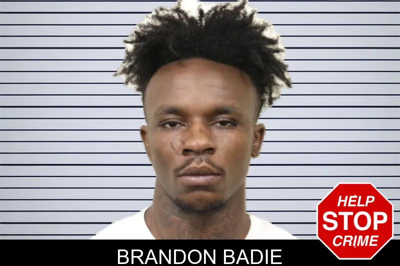 Brandon Badie mugshot – Bulloch County , Georgia Brandon Badie mugshot