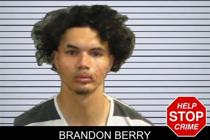 Brandon Berry mugshot
