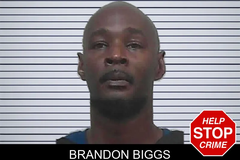 Brandon Biggs mugshot – Butts County , Georgia Brandon Biggs mugshot