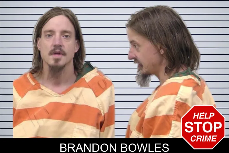 Brandon Bowles mugshot – Paulding County , Georgia Brandon Bowles mugshot