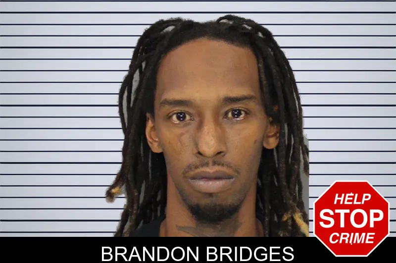 Brandon Bridges mugshot – Cobb County , Georgia Brandon Bridges mugshot