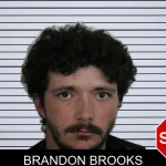 Brandon Brooks mugshot