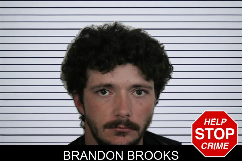 Brandon Brooks mugshot – Floyd County , Georgia Brandon Brooks mugshot