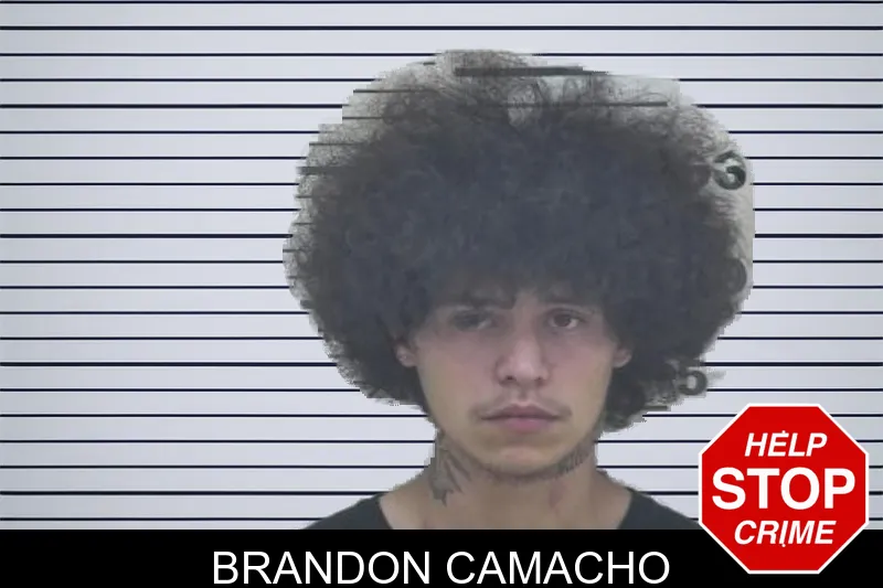Brandon Camacho mugshot – Coffee County , Georgia Brandon Camacho mugshot