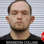 Brandon Collins mugshot