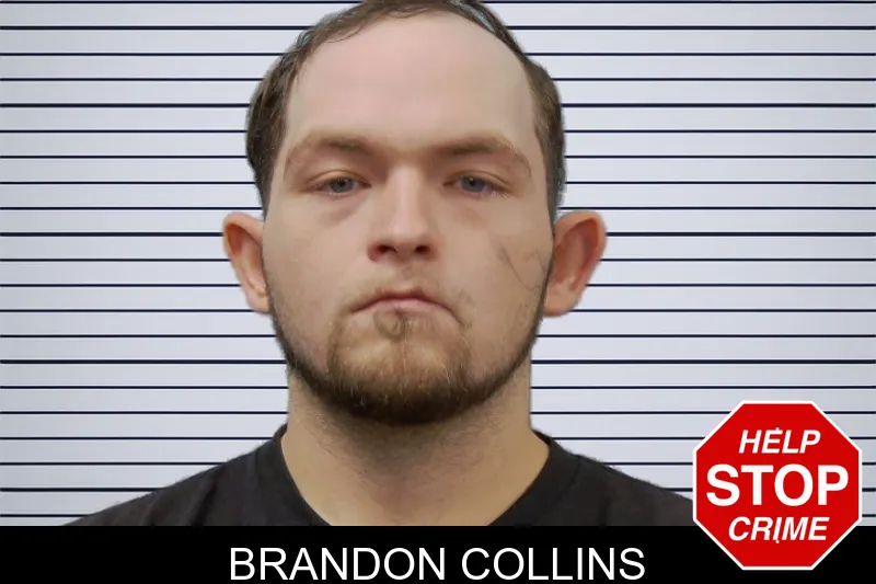 Brandon Collins mugshot