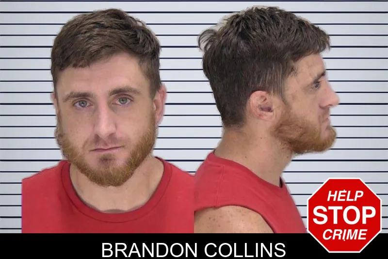 Brandon Collins mugshot – Richmond County , Georgia Brandon Collins mugshot