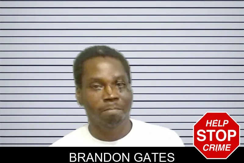 Brandon Gates mugshot – Fulton County , Georgia Brandon Gates mugshot