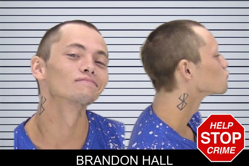 Brandon Hall mugshot
