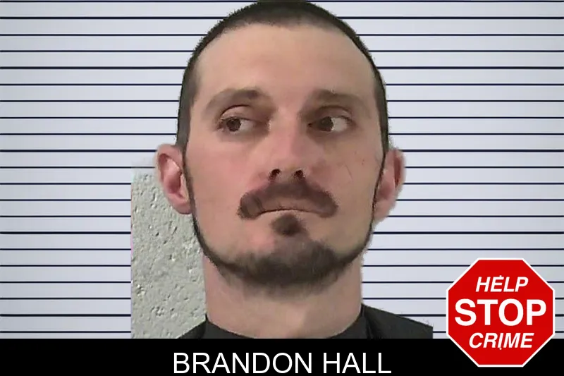 Brandon Hall mugshot – Elbert County , Georgia Brandon Hall mugshot