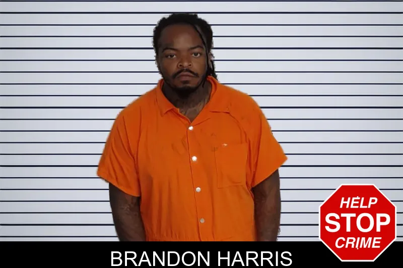 Brandon Harris mugshot – Rockdale County , Georgia Brandon Harris mugshot