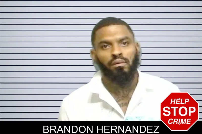 Brandon Hernandez mugshot