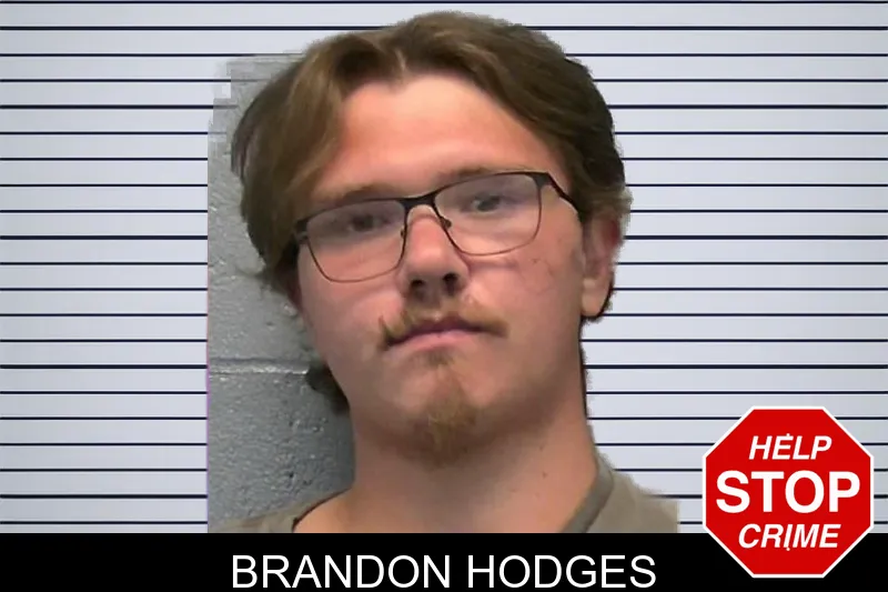 Brandon Hodges mugshot