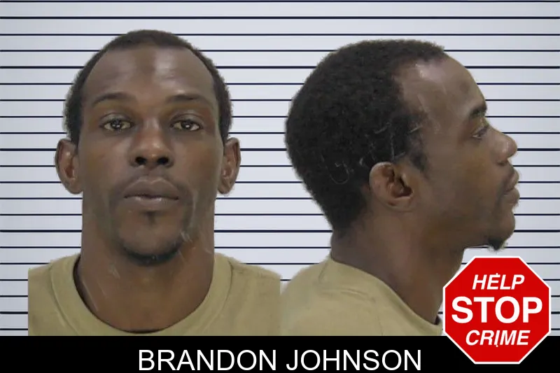 Brandon Johnson mugshot – Richmond County , Georgia Brandon Johnson mugshot