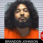 Brandon Johnson mugshot – Cherokee County , Georgia Brandon Johnson mugshot