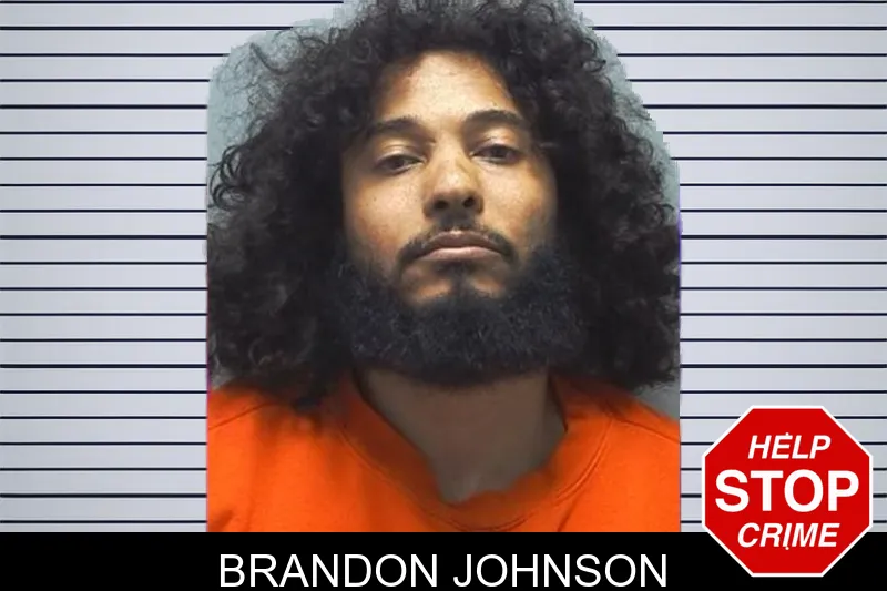 Brandon Johnson mugshot – Cherokee County , Georgia Brandon Johnson mugshot