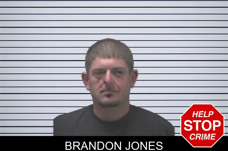 Brandon Jones mugshot – Coweta County , Georgia Brandon Jones mugshot