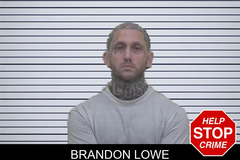 Brandon Lowe mugshot