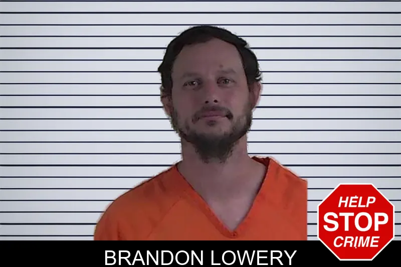 Brandon Lowery mugshot – Fannin County , Georgia Brandon Lowery mugshot
