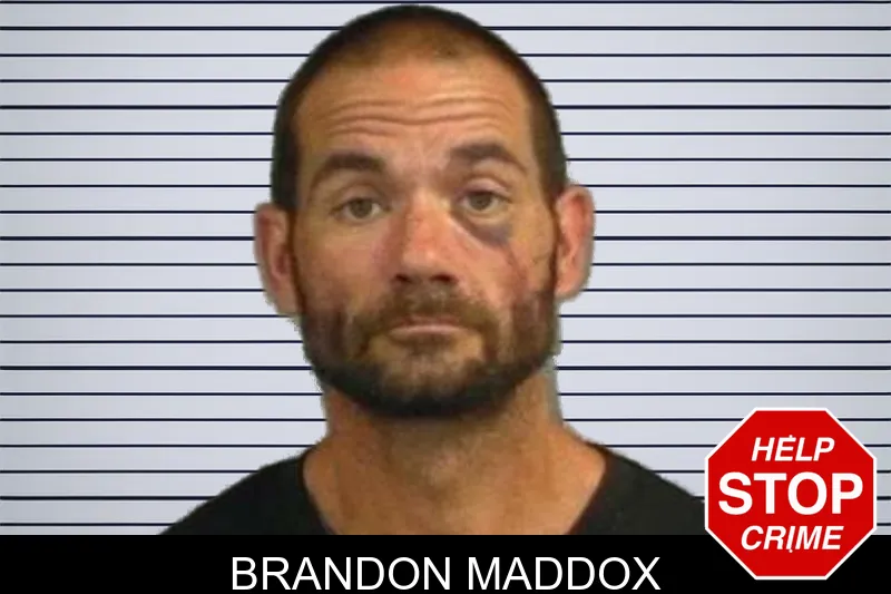 Brandon Maddox mugshot