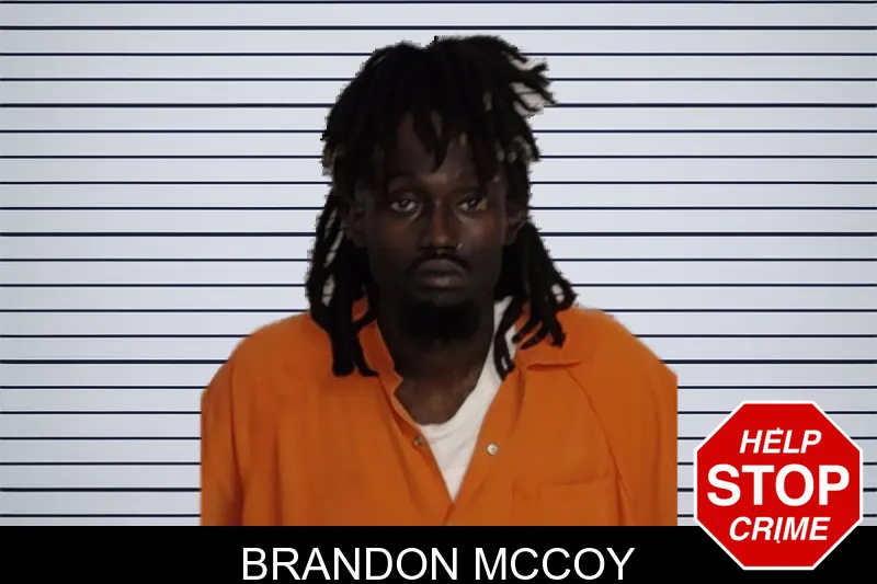 Brandon McCoy mugshot