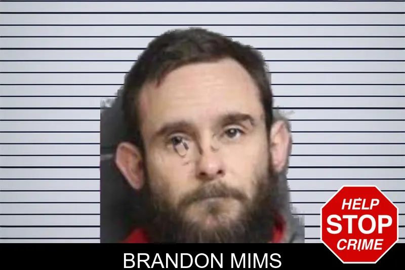 Brandon Mims mugshot – Bacon County , Georgia Brandon Mims mugshot