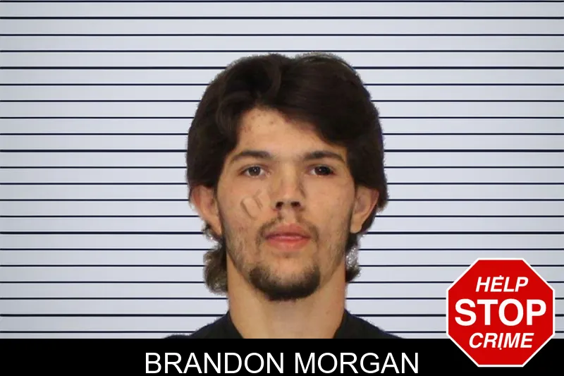 Brandon Morgan mugshot – Carroll County , Georgia Brandon Morgan mugshot