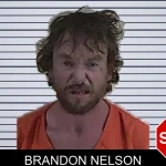 Brandon Nelson mugshot