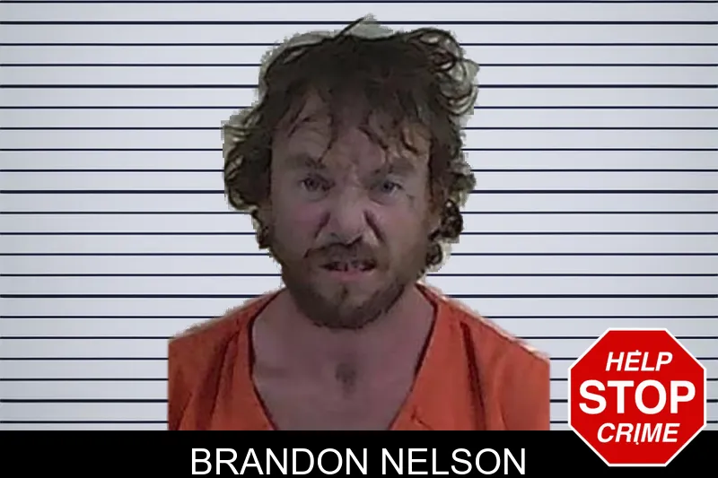 Brandon Nelson mugshot