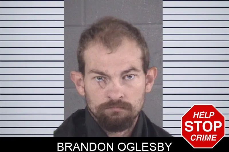 Brandon Oglesby mugshot
