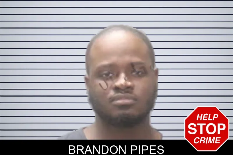 Brandon Pipes mugshot